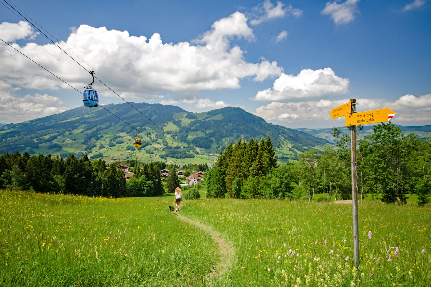 Wanderweg durch die grüne Wiese auf den Wald zu. Im rechten Bildrand steht ein gelber Wanderwegwegweiser. Im Hintergrund kann man einen Berg sehen und eine blaue Gondel